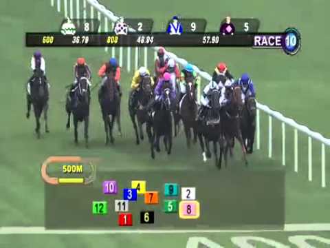 SINGAPORE RACE 01/01/2014 RACE 10 - iAgencyNet.com