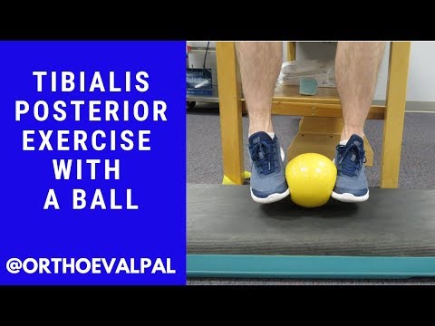 Metatarsalgia and Morton s Neuroma Evaluation and Treatment