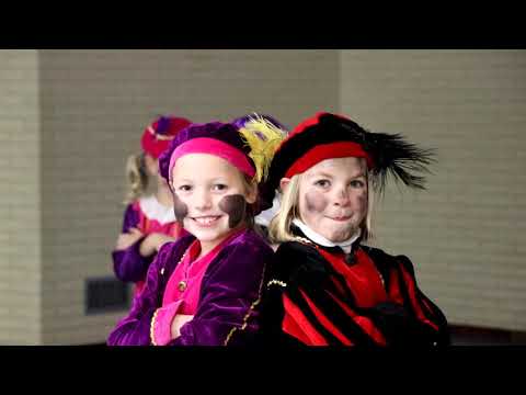 FEESTEN OP DE DAKEN - dans videoclip