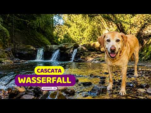 ⚠️ATENÇÃO na Cascata Wasserfal I | Imigrante