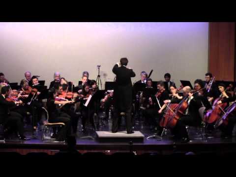 Brahms Symphony No. 4 in E minor Op. 98, IV Allegro Energico e Passionato