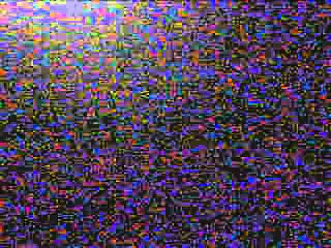 kormoran - rywal-klon mochy