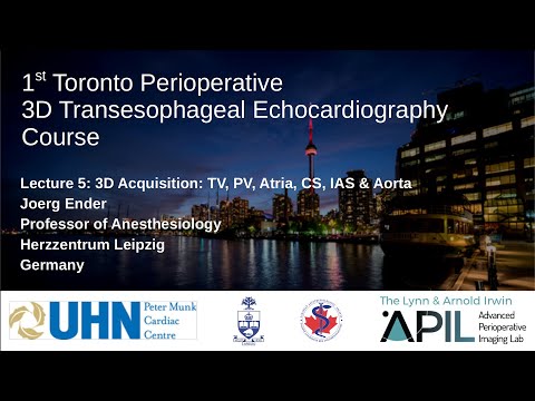 5 Ender - 2019 - Acquisition: TV PV Atria Aorta. Toronto Perioperative 3D TEE Course 2019