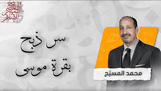 التاريخ المبكر للإسلام | الحلقة 127 | سر ذبح بقرة موسى