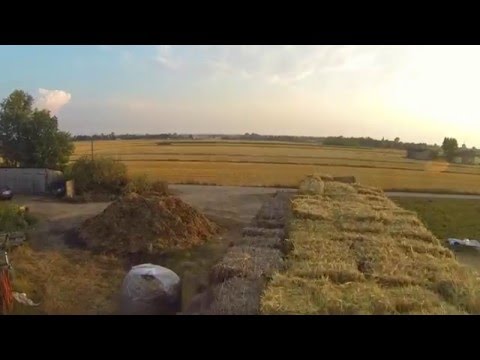 Sierpień po żniwach w Łaznowie k. Rokicin