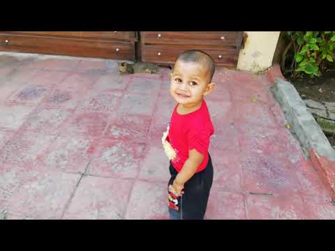 Aroosh Aamir Playing with Cat.