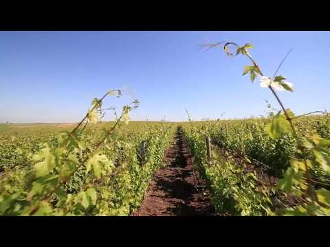 Vara in via de la Aliman