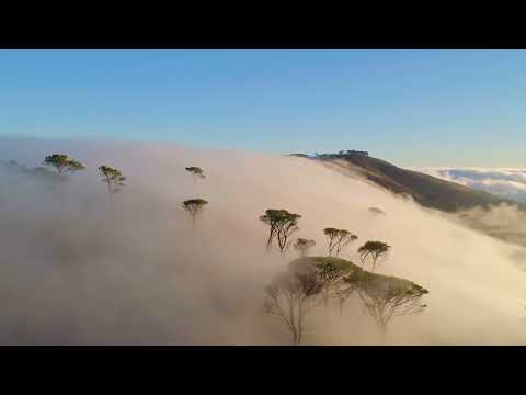 Dicsőítő és hálaadó imádság a Szentháromság tiszteletére