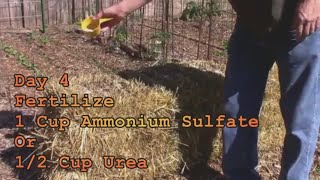 Conditioning, Planting and Growing a Straw Bale Garden - From Day One.