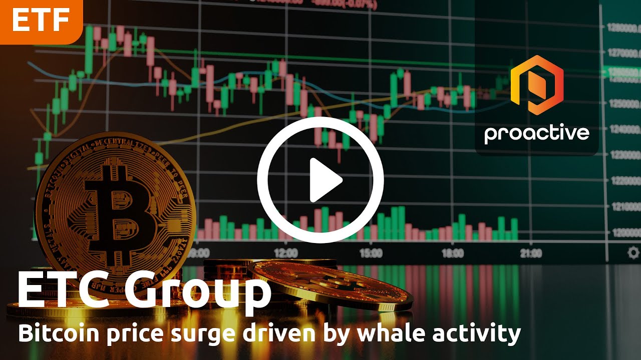 ETC Group's Bradley Duke says 'whales' are buoying Bitcoin