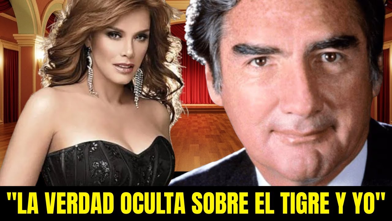 YouTube Thumbnail Downloader FULL HQ IMAGE