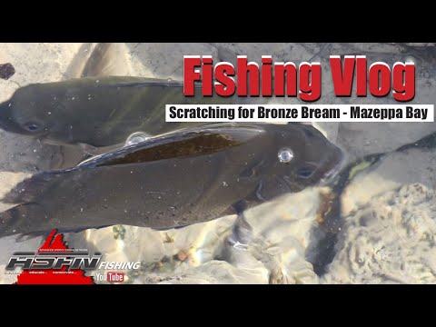 ASFN Fishing Vlog  -  Bronze Bream Scratching Mazeppa Bay