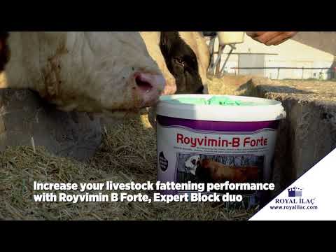 , title : 'ROYVIMIN B FORTE and EXPERT licking block improve animals' weight gain and feed intake'