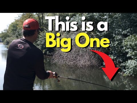 Every Bass Angler Has Struggled With One of These -5 Things That Hold Us Back