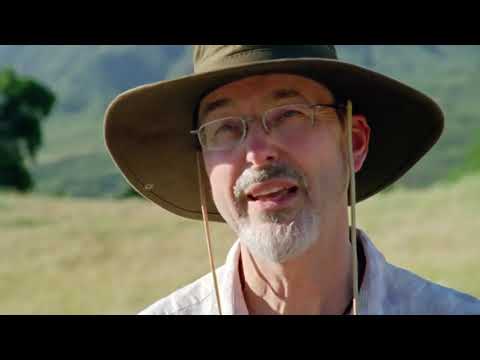 Bill Viola: The Road to St Pauls (Documental)