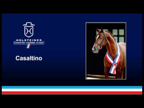 Holsteiner Verbandshengste 2019 - Casaltino