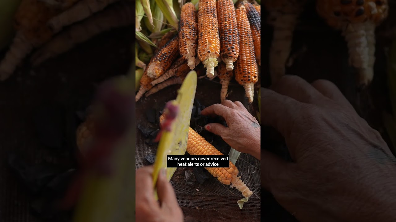 Janpahal's Early Warning System Helps Street Vendors Cope with Heatwaves | English & Hindi