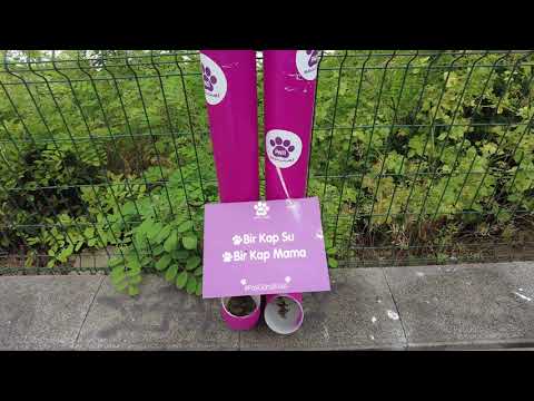 Istanbul Kadikoy Moda Tour | 4K | İstanbul Travel Guide