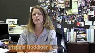New UT Automatic Admission Policy