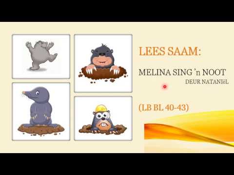 AFRIKAANS GRAAD 9: 21 Mei 2020 - periode 1 (21091)