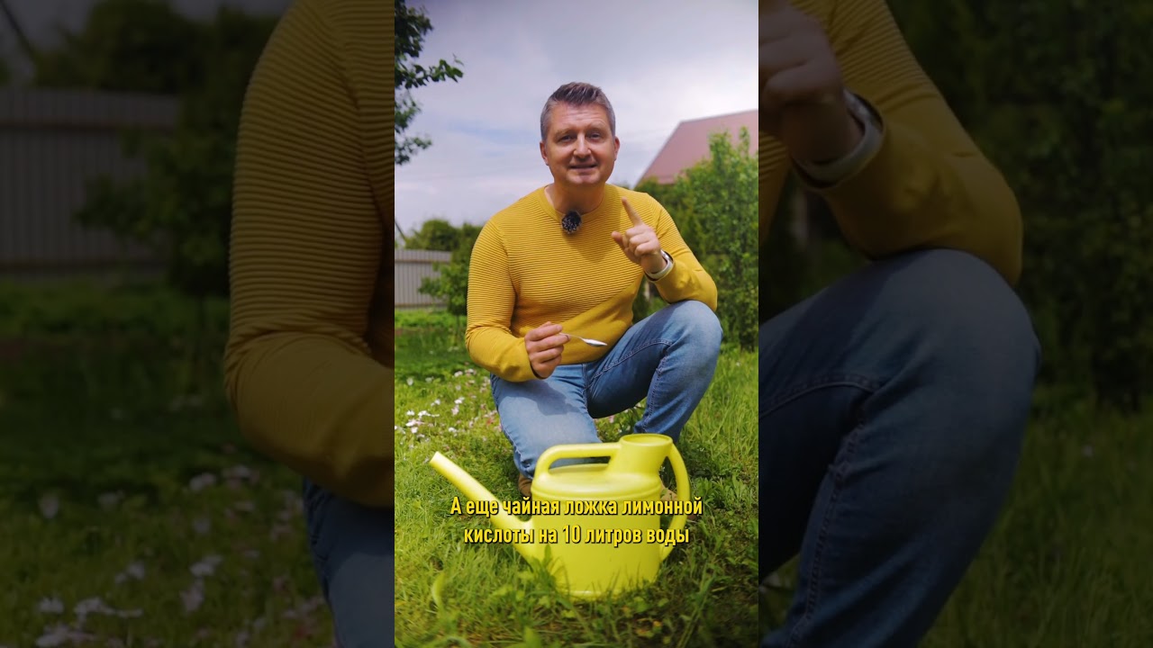 Зачем опытные садоводы скупают лимонную кислоту оптом?
