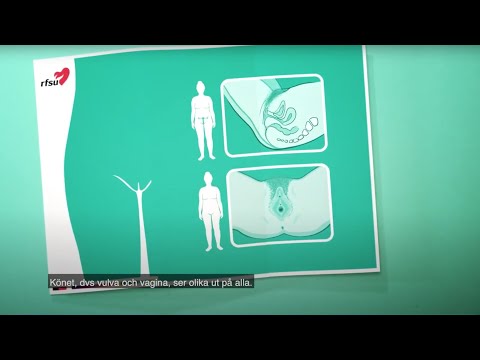 ئەندامی زاوزێی ئافرەت | RFSU informerar om vulva vagina / kvinnans kön på sorani