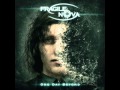 Fragile Nova - XIII 