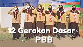 Download lagu 12 Gerakan Dasar PBB | Pramuka mp3