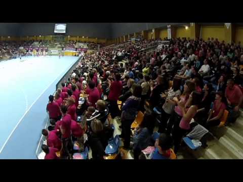 Fleury Loiret Handball La griffe rose des Panthères_belle ambiance !