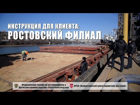 Как оформить заключение о карантинном фитосанитарном состоянии зерна на экспорт