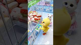 Duckling and Kitten Grab Plushies at the Arcade, Bringing Home Surprises for the Whole Family.#duck