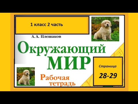 Проект Мои домашние питомцы Окружающий мир 1 класс. Про собаку