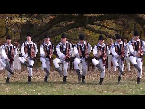 Suită de dansuri din Dumbrăvița