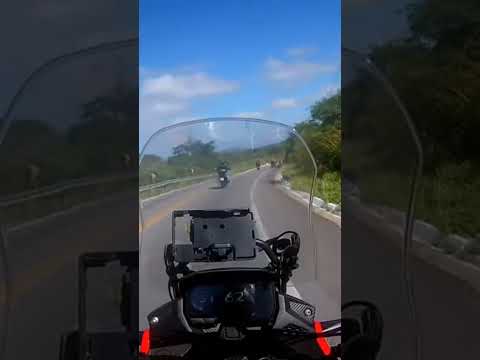 Venturosa Pernambuco