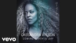 Cassandra Wilson - Don't Explain (Audio)
