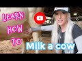 How To Milk A Cow By Hand Funny Attempt