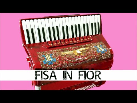 Fisa in fior - 1 ora di liscio per fisarmonica
