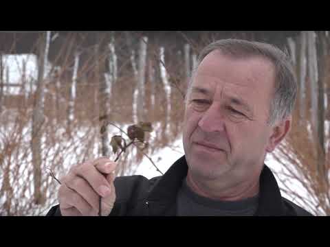 Agro karavan ep. 108 26.01.2020. Arilje