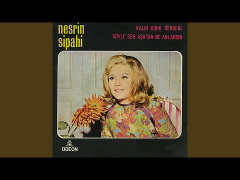 Kalbi Kırık Serseri