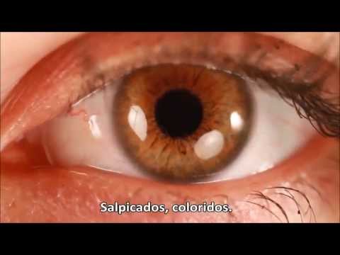 PRECISAMOS DE AMOR, PRECISAMOS DE JESUS