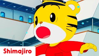 Shimajiro is the captain! All aboard the ship! 🚢 | Summer Special Episode Compilation | Shimajiro