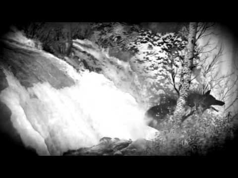 Karian - Quo vadis (prod. Wojdvs)