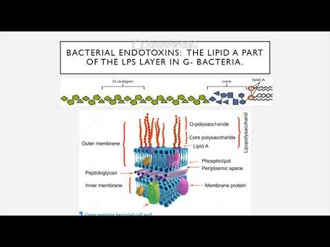 BIO 205 Chapter 15 Microbial Mechanisms to Pathogenicity