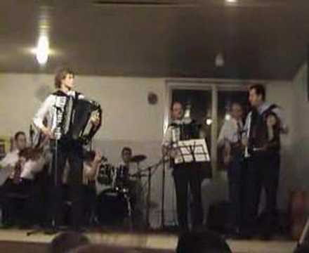 Harmonika - Tomislav Latinkic