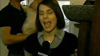 Paradise 4 Paws on WGN News Chicago 'Around Town'