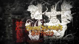Raped by Pigs - Shemale Dismemberment on 69 Pieces - Vídeo Lyrics