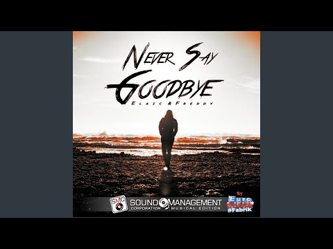 Never Say Goodbye (Extended Version)