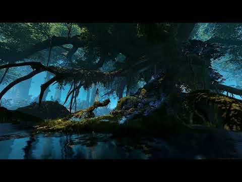 Enchanted Swamp Forest Ambience To Sleep, Study, Relax || Ambinece Immersion