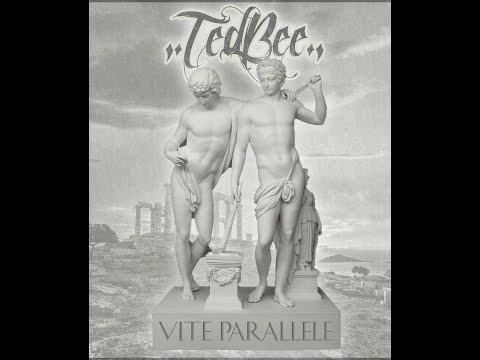 RAP TALKS: Ted Bee  "Vite parallele"