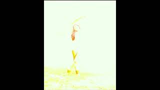 Download lagu TUM MERE HO MERE REHNA | FULL SCREEN STATUS #short 💯🦋 mp3